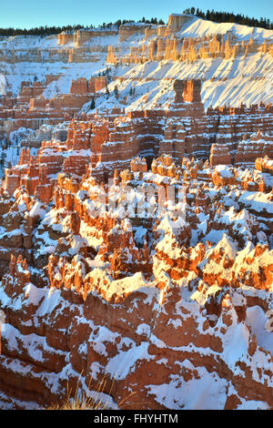 Morning sun on snow covered hoodoos in Bryce Canyon National Park in southwest Utah seen from the Rim Trail near Sunset Point. Stock Photo