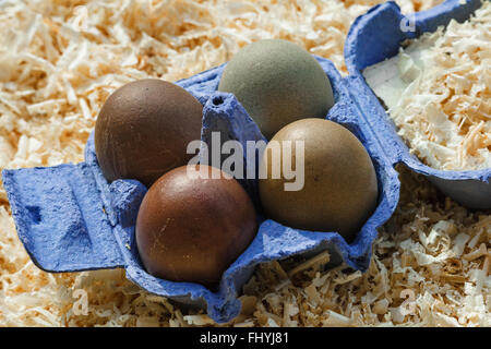 Four colored eggs in blue box. Stock Photo