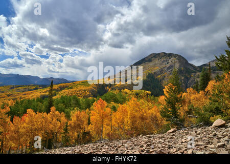 Fall colors along Forest Road 730 at Ohio Pass near Crested Butte, Colorado Stock Photo