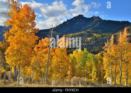 Fall color comes to aspens above Silver Jack Reservoir along Big Cimarron Road in Uncompahgre National Forest in Colorado Stock Photo