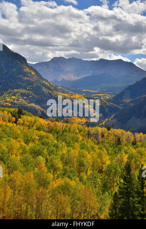 Fall color comes to Colorado along HWY 145 south of Telluride, Colorado, but north of Lizard Head Pass. Stock Photo