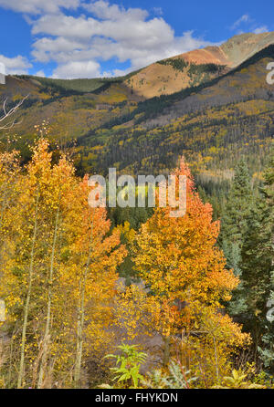 Fall color aspens along Million Dollar Highway south of Ouray, Colorado Stock Photo