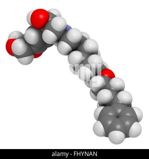 Salmeterol asthma drug molecule Atoms are represented as spheres and are colour coded: hydrogen (white), carbon (grey), oxygen Stock Photo