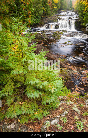 The Tyler Fork of the Bad River flows over the Cascades waterfall in Copper Falls State Park, Ashland County, Wisconsin, USA. Stock Photo