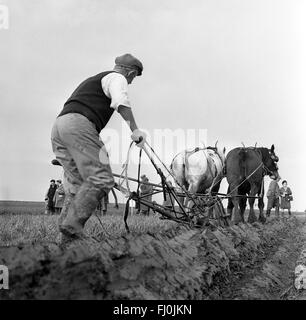 Farmers ploughing competition at Cruckton on Shropshire 1960s Stock Photo