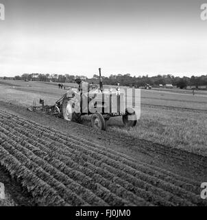 Farmers ploughing competition at Cruckton on Shropshire 1960s Stock Photo