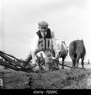 Farmer ploughing competition at Cruckton on Shropshire 1960s Stock Photo