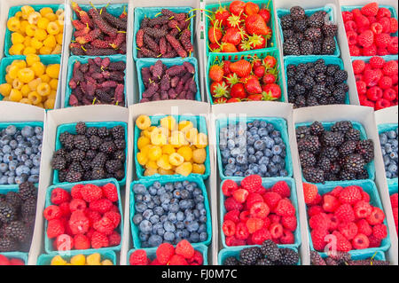 Farmers market - close up of berries in pint containers - local farm stand / farmer's market in Santa Monica California - vegan / vegetarian lifestyle Stock Photo