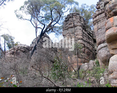 Sandstone rock formations in The Grampians National Park, Victoria, Australia. Stock Photo