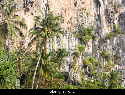 Stunning karst formation with palm trees on Railey beach in Krabi in south Thailand. Stock Photo