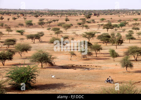 Landscape of the Sahel region near Gorom Gorom , Burkina Faso Stock Photo