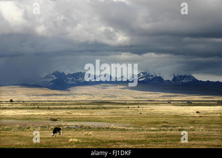 Landscape of Altiplano near La Paz, Bolivia Stock Photo