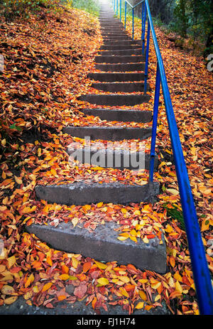 Stairs covered with autumn leaves Stock Photo