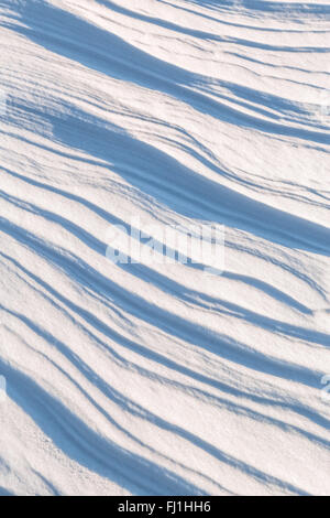 Texture of the snow cover on a sunny day