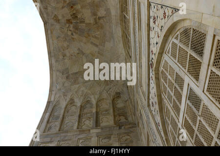 Taj Mahal marble Art Flowers Plants carving on Taj Mahal Marble Tiles taj mahal flower detail, India on 15 February 2016. Stock Photo