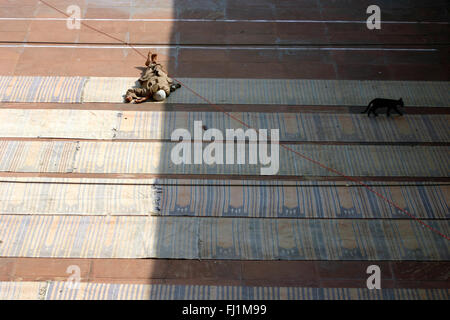 Man sleeping at Jama masjid, Delhi, India Stock Photo