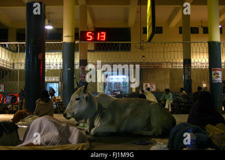 railway in Haridwar railway station Stock Photo - Alamy