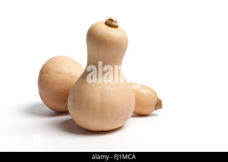 Two fresh whole butternut pumpkins on white background Stock Photo