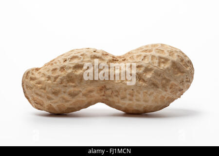 Whole single Peanut on white background Stock Photo