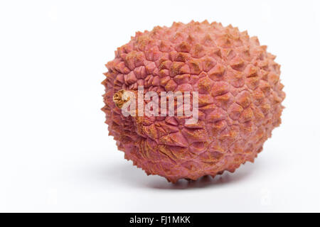 One fresh lychee close up on white background Stock Photo