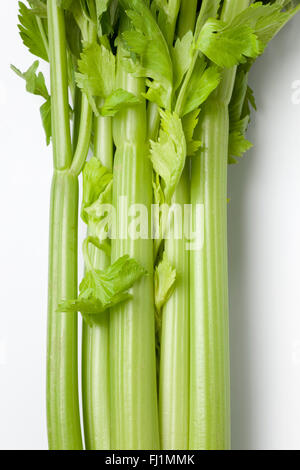 Fresh raw Celery stems on white background Stock Photo