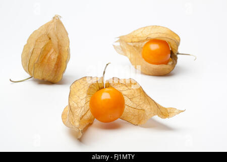 Fresh ripe Physalis fruit on white background Stock Photo