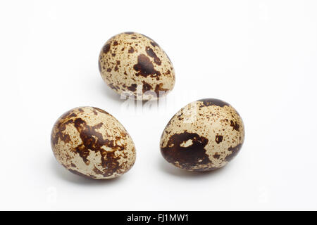 Three fresh whole quail eggs on white background Stock Photo