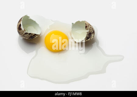 Broken quail egg with with shell and yolk on white background Stock Photo