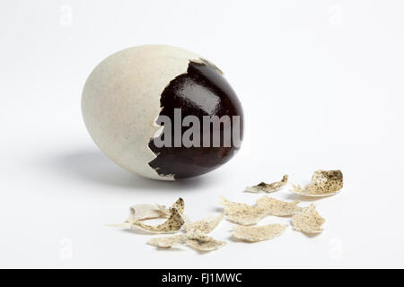 Thousand years duck egg with partial peeled egg-shell on white background Stock Photo