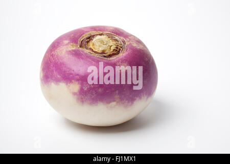 One fresh whole purple headed turnip on white background Stock Photo