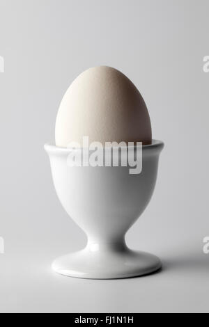 Single whole boiled white egg in an egg-cup Stock Photo