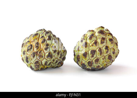 Two fresh whole cherimoya on white background Stock Photo