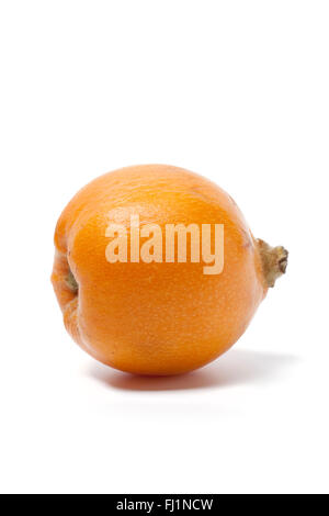 Fresh whole  Loquat isolated on white background Stock Photo
