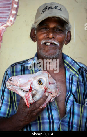 Butcher with dead sheep mutton head in market in Fort Kochi, Kerala ,  India Stock Photo