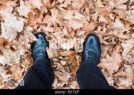 Feet with black shoes on dried leaves of a maple tree Stock Photo