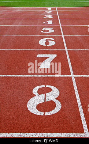 Empty Racetrack Starting Grid Starting grid of race track at a stadium Stock Photo - Alamy