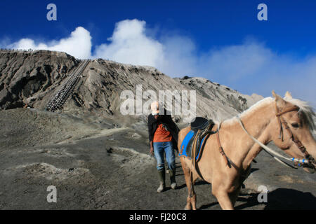 Man with horse near Mount Bromo , Java , Indonesia Stock Photo
