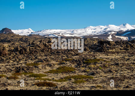 Lava field and snowy mountains at the Snaefellsnes peninsula in Iceland Stock Photo