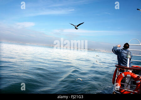 A man travels on boat with birds on the Bosphorus river , Istanbul Stock Photo