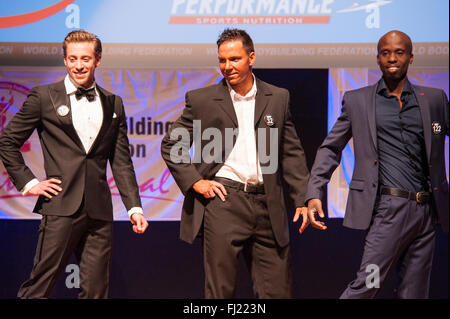 MAASTRICHT, THE NETHERLANDS - OCTOBER 25, 2015: Male fitness models dressed in suit show their best on stage Stock Photo