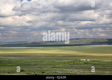 Mongolia stunning landscapes made of total green and emptiness Stock Photo