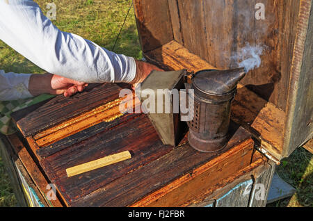 The beekeeper works near a beehive in the village. Stock Photo