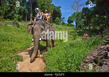 ELEPHANT RIDES are one of the activities available near KHAO SOK NATIONAL PARK - SURAI THANI PROVENCE, THAILAND  MR Stock Photo