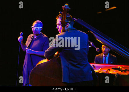 AARON DIEHL plays piano  & PAUL SIKICIE on base for CELIA MCLORIN preforming on the main stage at the 2014 MONTEREY JAZZ FESTIVA Stock Photo