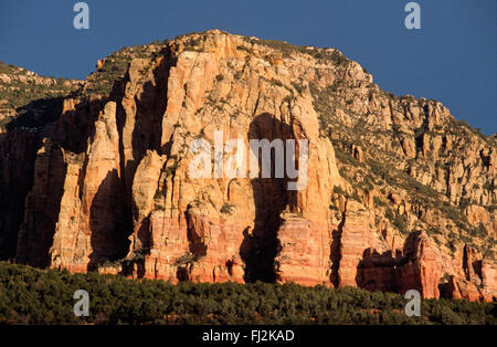 PINE trees and ROCK FORMATIONS in RED ROCK SECRET CANYON of Coconino National Forest - SEDONA, ARIZONA Stock Photo