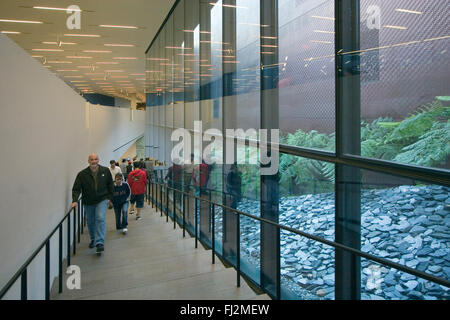Visitors in the new DE YOUNG Museum, built by architects Herzog and de Meuron - SAN FRANCISCO, CALIFORNIA Stock Photo