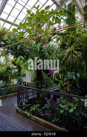 The CONSERVATOR OF FLOWERS is a botanical greenhouse built in 1878, and is located in GOLDEN GATE PARK - SAN FRANCISCO, CALIFORN Stock Photo