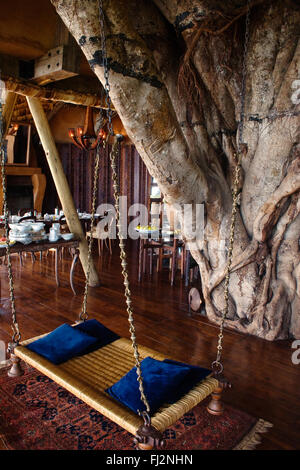 The dining room of the five star NGORONGORO CRATER LODGE has a SWINGING CHAIR - NGORONGORO CRATER, TANZANIA Stock Photo