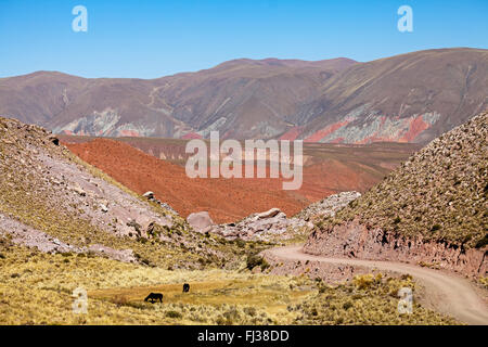 Landscape of Andes mountains, Argentina Stock Photo