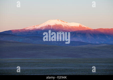 Landscape of the Puna Desert,  Argentina Stock Photo